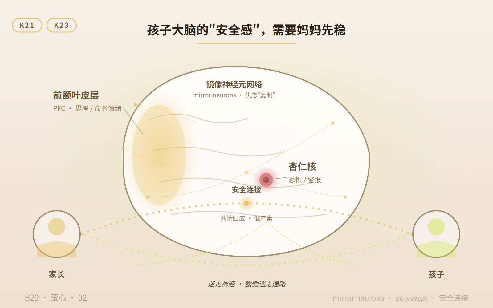 大脑镜像神经元 + 安全连接意象